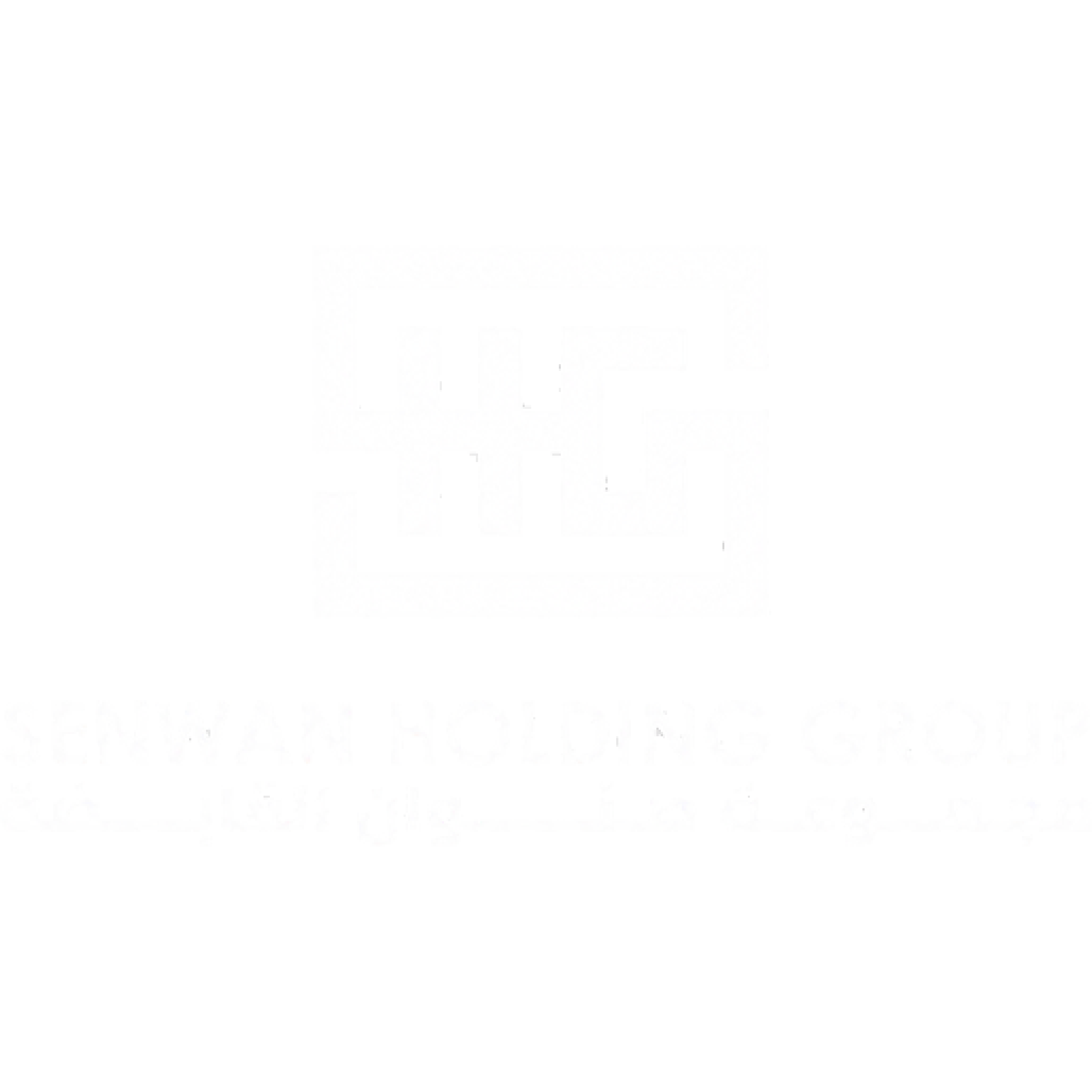 senwan holding group
